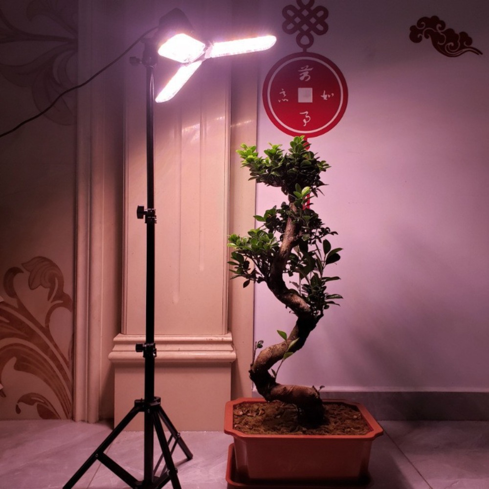 ขาตั้งหลอดไฟ 2 เมตร, ขั้วหลอดไ - Photography Bulb บทวิจารณ์และราคา